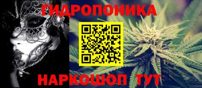 mdpv Уссурийск